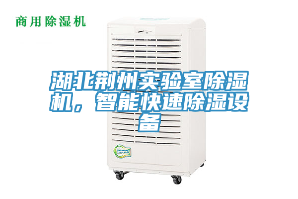 湖北荊州實(shí)驗室除濕機，智能快速除濕設備