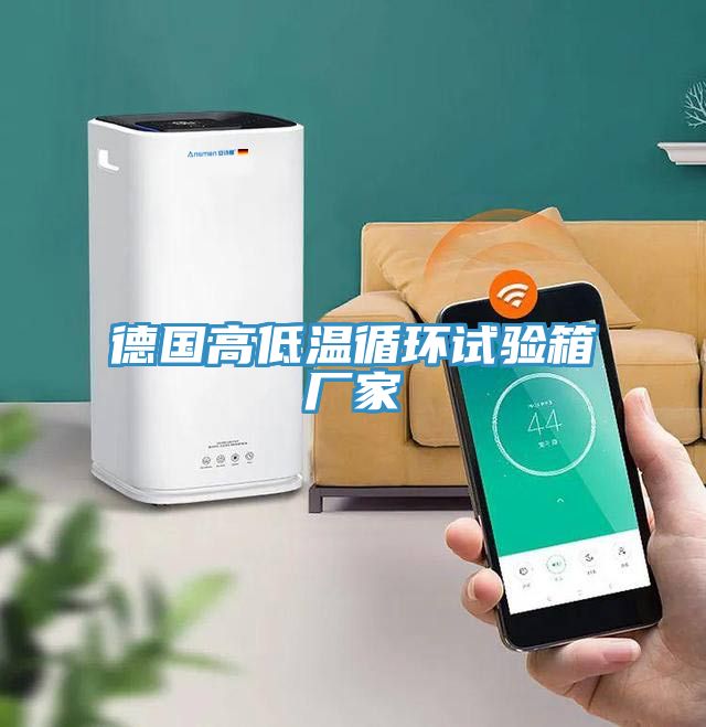 德國高低溫循環(huán)試驗箱廠(chǎng)家