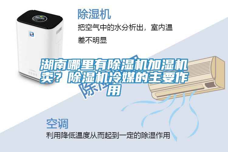 湖南哪里有除濕機加濕機賣(mài)？除濕機冷媒的主要作用