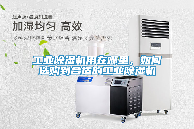工業(yè)除濕機用在哪里，如何選購到合適的工業(yè)除濕機