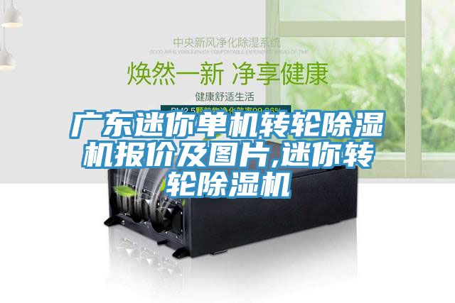 廣東迷你單機轉輪除濕機報價(jià)及圖片,迷你轉輪除濕機