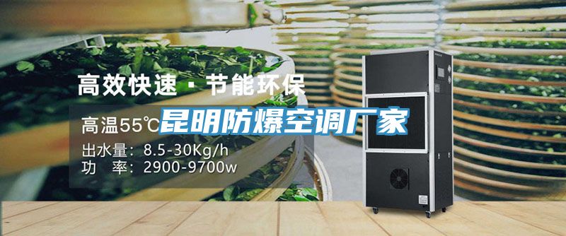 昆明防爆空調廠(chǎng)家
