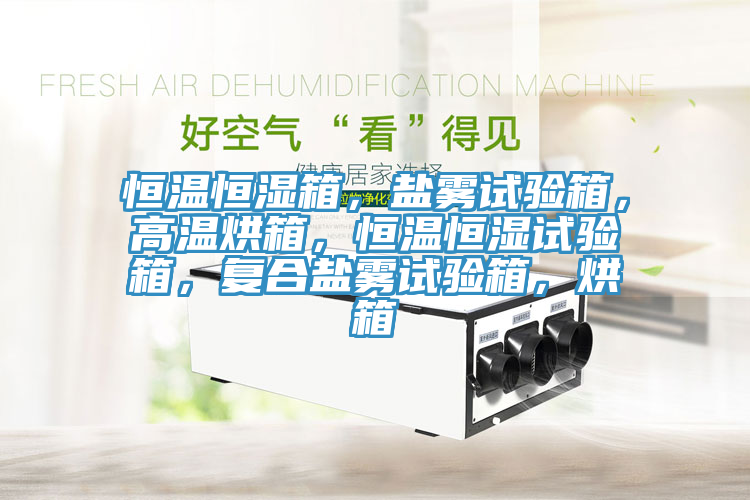 恒溫恒濕箱，鹽霧試驗箱，高溫烘箱，恒溫恒濕試驗箱，復合鹽霧試驗箱，烘箱