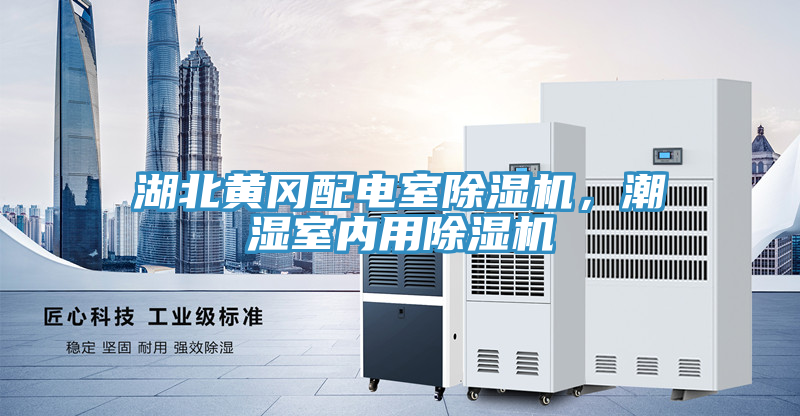 湖北黃岡配電室除濕機，潮濕室內用除濕機