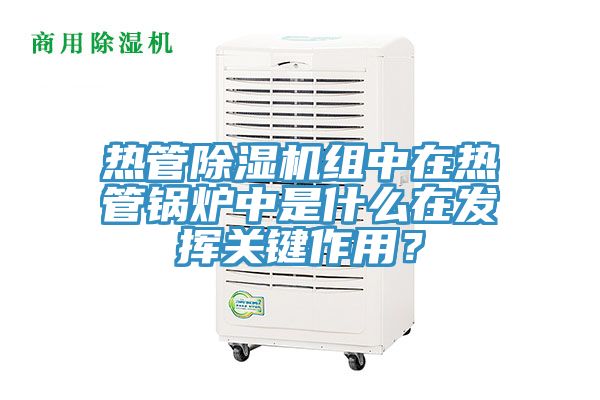 熱管除濕機組中在熱管鍋爐中是什么在發(fā)揮關(guān)鍵作用？