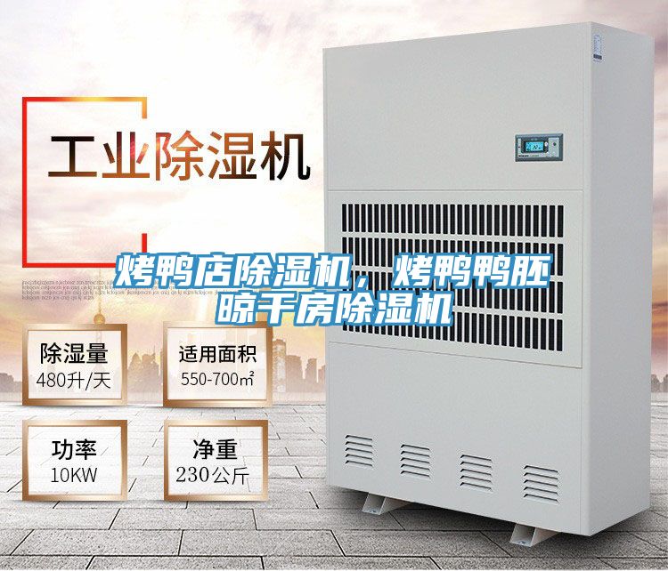 烤鴨店除濕機，烤鴨鴨胚晾干房除濕機