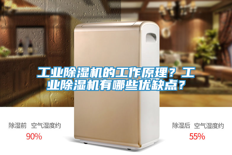 工業(yè)除濕機的工作原理？工業(yè)除濕機有哪些優(yōu)缺點(diǎn)？