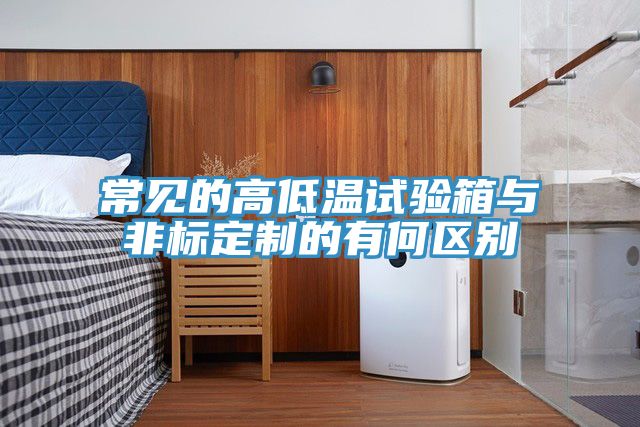 常見(jiàn)的高低溫試驗箱與非標定制的有何區別