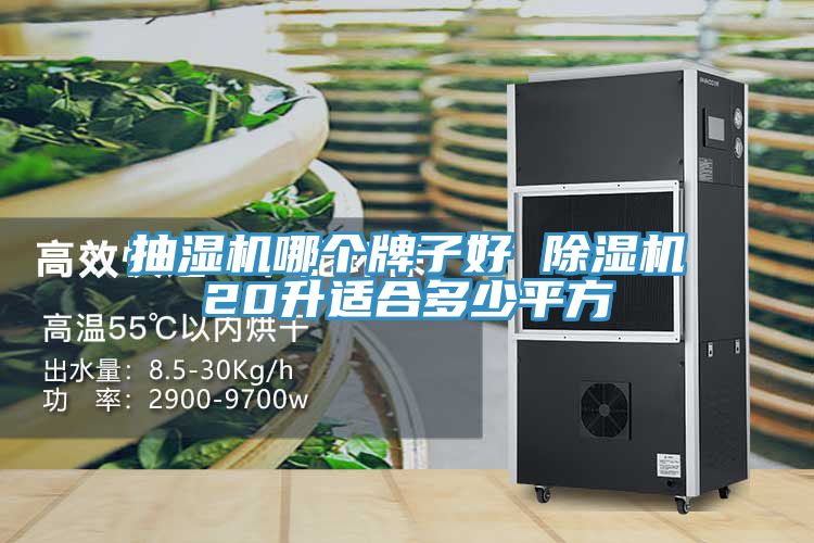 抽濕機哪個(gè)牌子好 除濕機20升適合多少平方