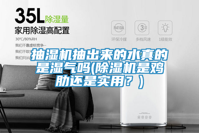抽濕機抽出來(lái)的水真的是濕氣嗎(除濕機是雞肋還是實(shí)用？)