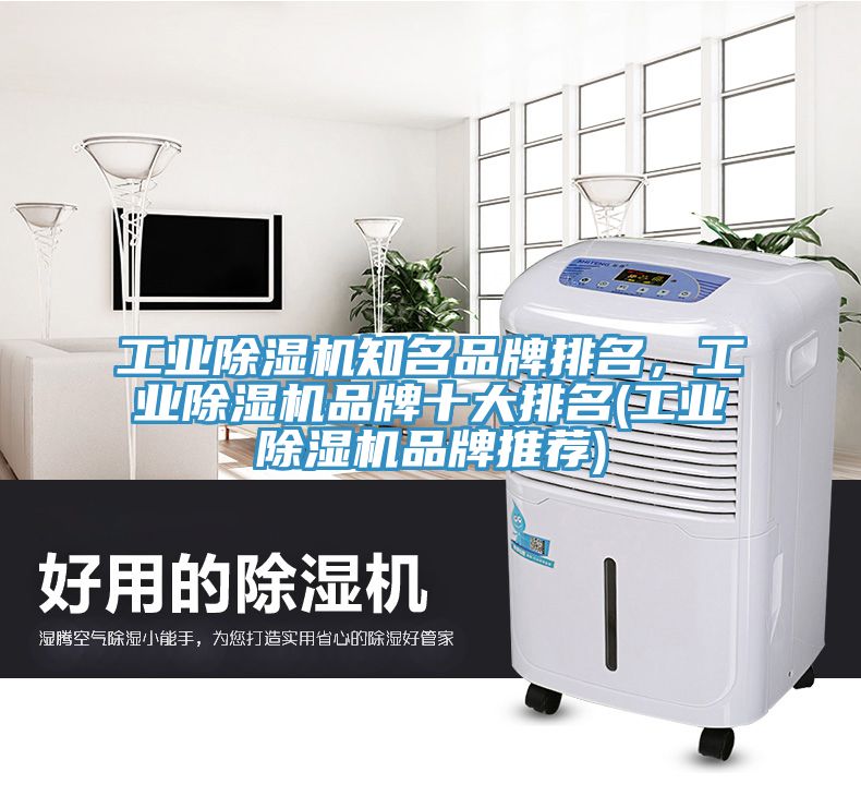 工業(yè)除濕機知名品牌排名，工業(yè)除濕機品牌十大排名(工業(yè)除濕機品牌推薦)