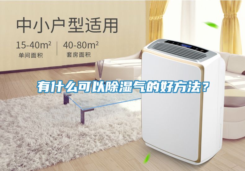 有什么可以除濕氣的好方法？
