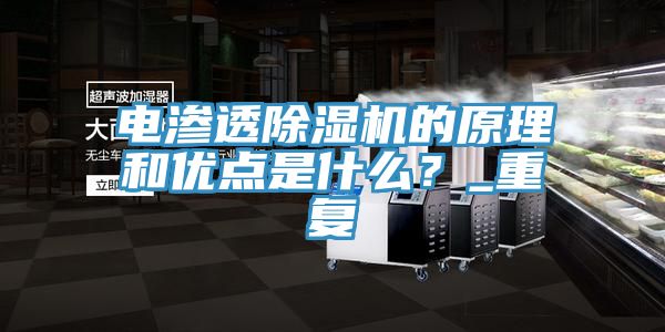 電滲透除濕機的原理和優(yōu)點(diǎn)是什么？_重復