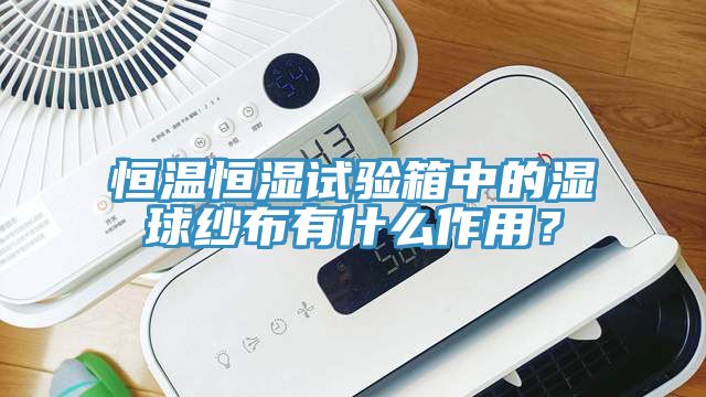 恒溫恒濕試驗箱中的濕球紗布有什么作用？