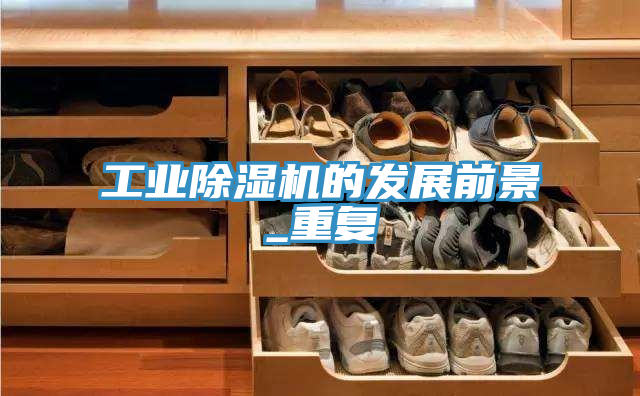 工業(yè)除濕機的發(fā)展前景_重復