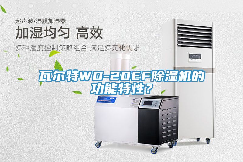 瓦爾特WD-20EF除濕機的功能特性？