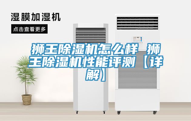 獅王除濕機怎么樣 獅王除濕機性能評測【詳解】