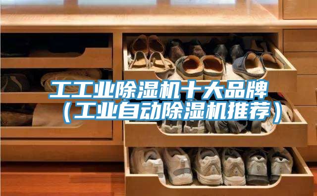 工工業(yè)除濕機十大品牌（工業(yè)自動(dòng)除濕機推薦）