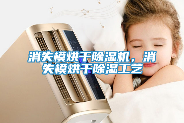 消失模烘干除濕機，消失模烘干除濕工藝