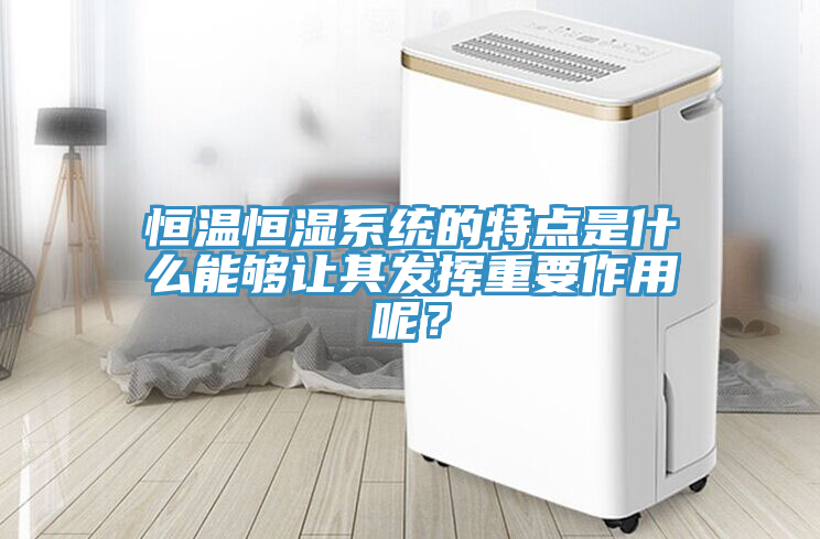 恒溫恒濕系統的特點(diǎn)是什么能夠讓其發(fā)揮重要作用呢？