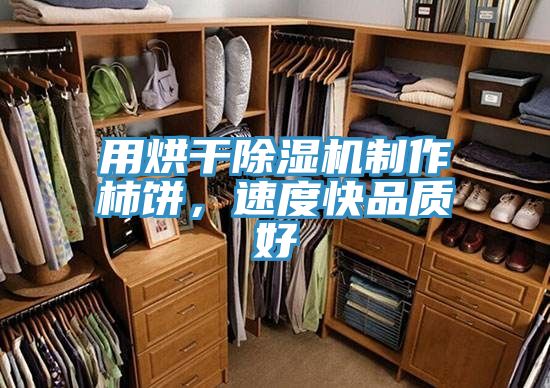 用烘干除濕機制作柿餅，速度快品質(zhì)好