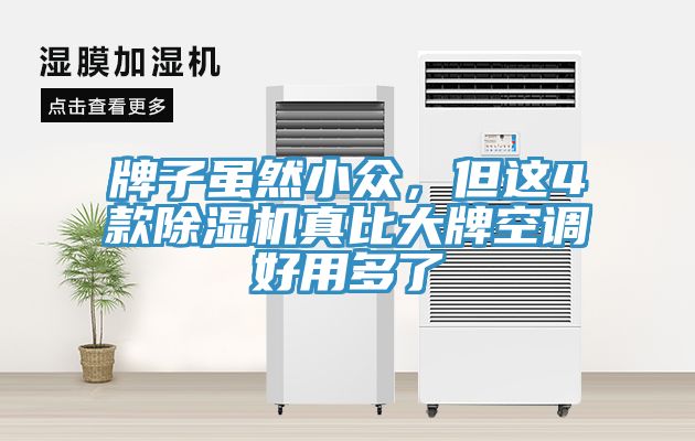 牌子雖然小眾，但這4款除濕機真比大牌空調好用多了