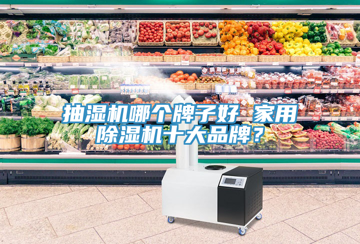 抽濕機哪個(gè)牌子好 家用除濕機十大品牌？