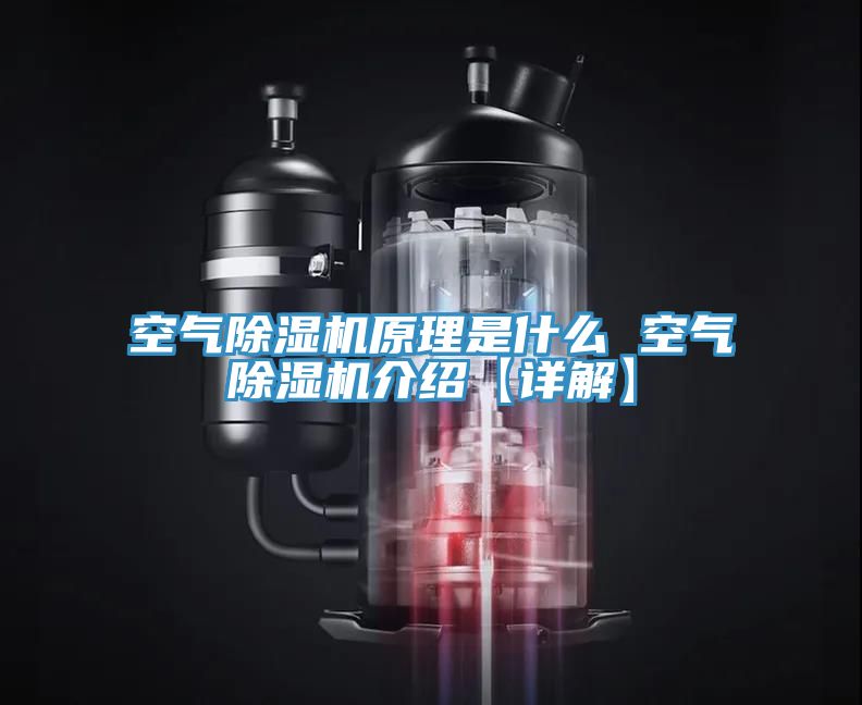 空氣除濕機原理是什么 空氣除濕機介紹【詳解】
