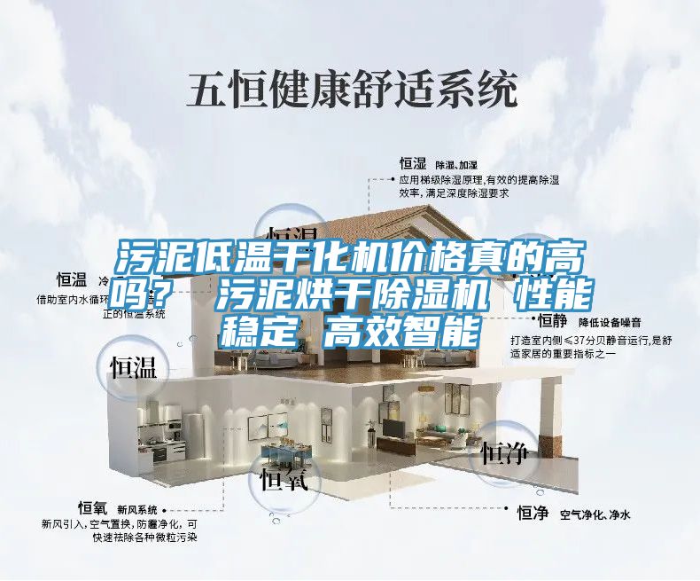 污泥低溫干化機價(jià)格真的高嗎？ 污泥烘干除濕機 性能穩定 高效智能