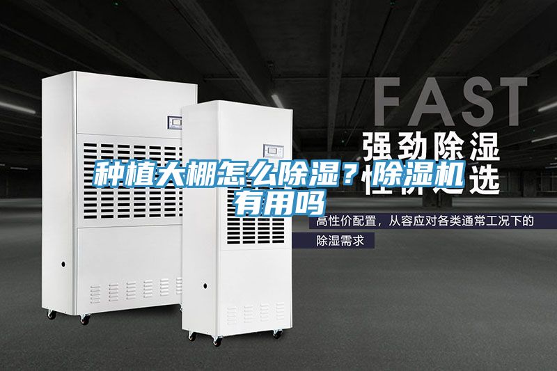 種植大棚怎么除濕？除濕機有用嗎