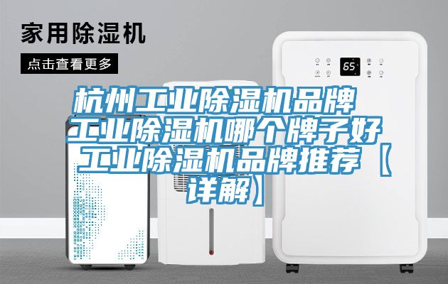 杭州工業(yè)除濕機品牌 工業(yè)除濕機哪個(gè)牌子好 工業(yè)除濕機品牌推薦【詳解】