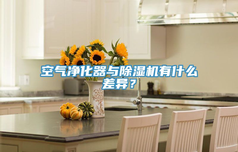 空氣凈化器與除濕機有什么差異？