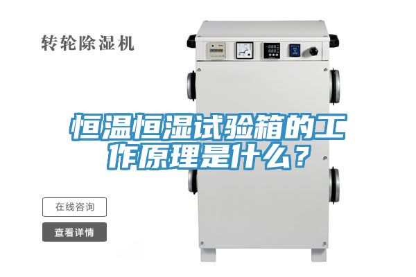 恒溫恒濕試驗箱的工作原理是什么？