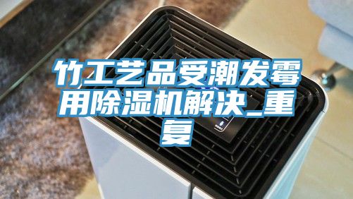 竹工藝品受潮發(fā)霉用除濕機解決_重復