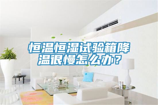 恒溫恒濕試驗箱降溫很慢怎么辦？