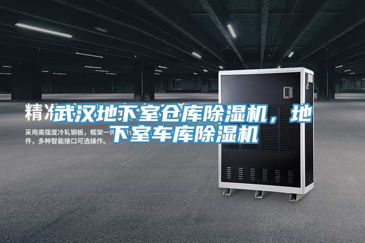 武漢地下室倉庫除濕機，地下室車(chē)庫除濕機