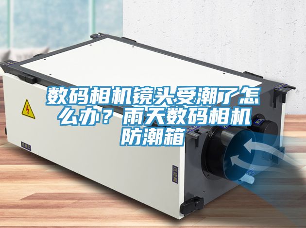 數碼相機鏡頭受潮了怎么辦？雨天數碼相機防潮箱