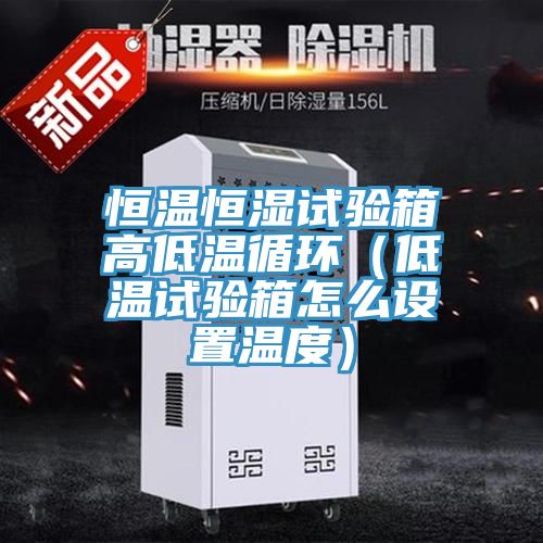 恒溫恒濕試驗箱高低溫循環(huán)（低溫試驗箱怎么設置溫度）