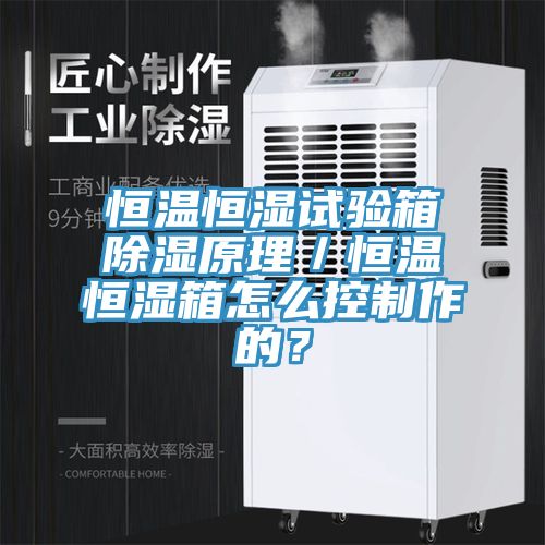恒溫恒濕試驗箱除濕原理／恒溫恒濕箱怎么控制作的？