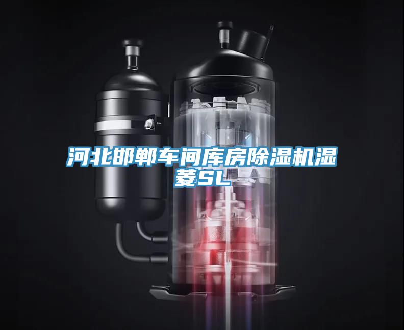 河北邯鄲車(chē)間庫房除濕機濕菱SL