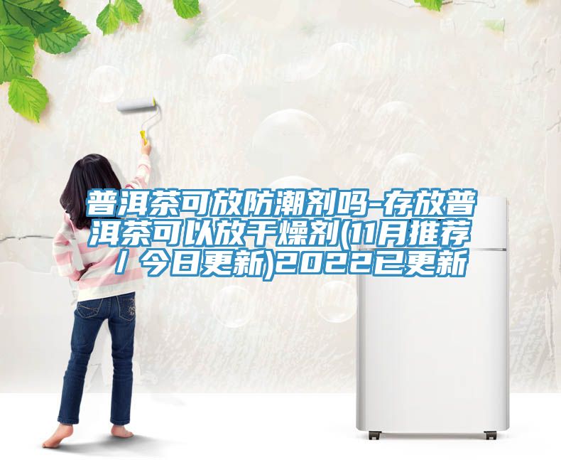 普洱茶可放防潮劑嗎-存放普洱茶可以放干燥劑(11月推薦／今日更新)2022已更新