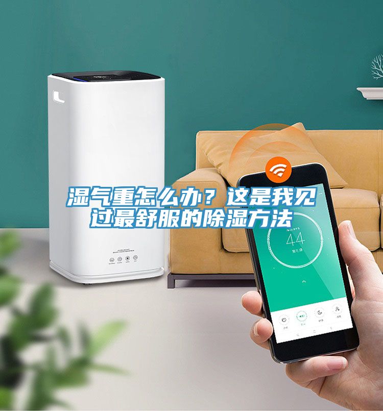 濕氣重怎么辦？這是我見(jiàn)過(guò)最舒服的除濕方法