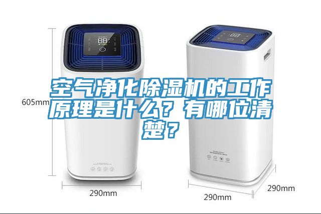 空氣凈化除濕機的工作原理是什么？有哪位清楚？