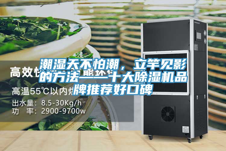 潮濕天不怕潮，立竿見(jiàn)影的方法——十大除濕機品牌推薦好口碑