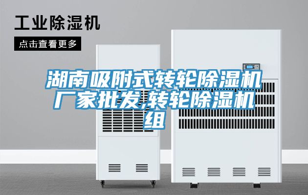 湖南吸附式轉輪除濕機廠(chǎng)家批發(fā),轉輪除濕機組