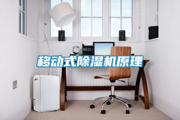 移動(dòng)式除濕機原理