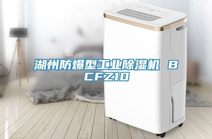 湖州防爆型工業(yè)除濕機 BCFZ10