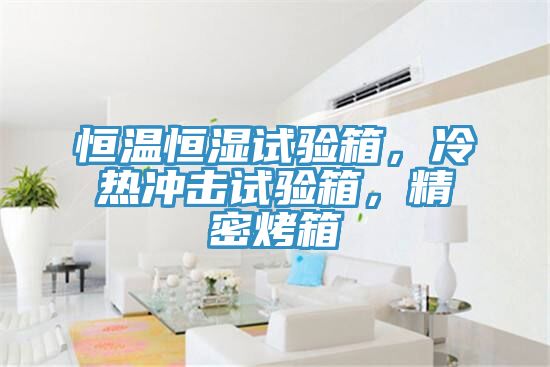 恒溫恒濕試驗箱，冷熱沖擊試驗箱，精密烤箱