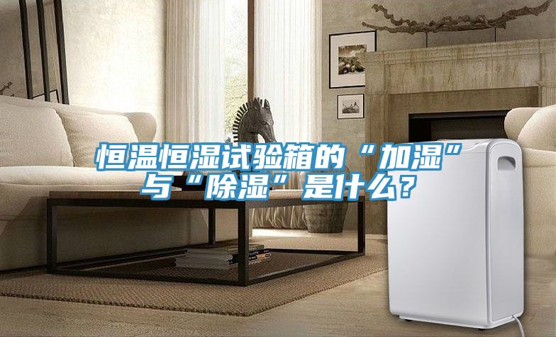 恒溫恒濕試驗箱的“加濕”與“除濕”是什么？