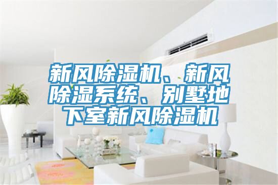 新風(fēng)除濕機、新風(fēng)除濕系統、別墅地下室新風(fēng)除濕機